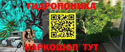 дмт Брянск