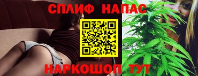 дмт Брянск