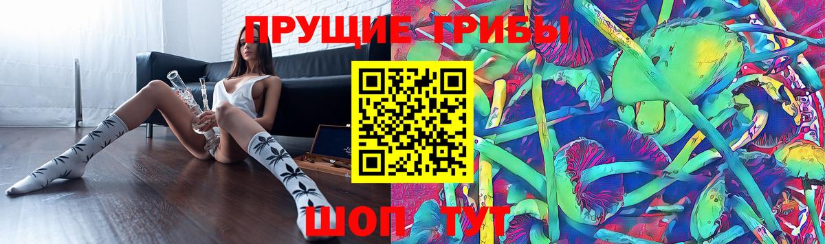 Галлюциногенные грибы Cubensis  Вход с VPN  Псилоцибиновые грибы мухоморы  Тихорецк 